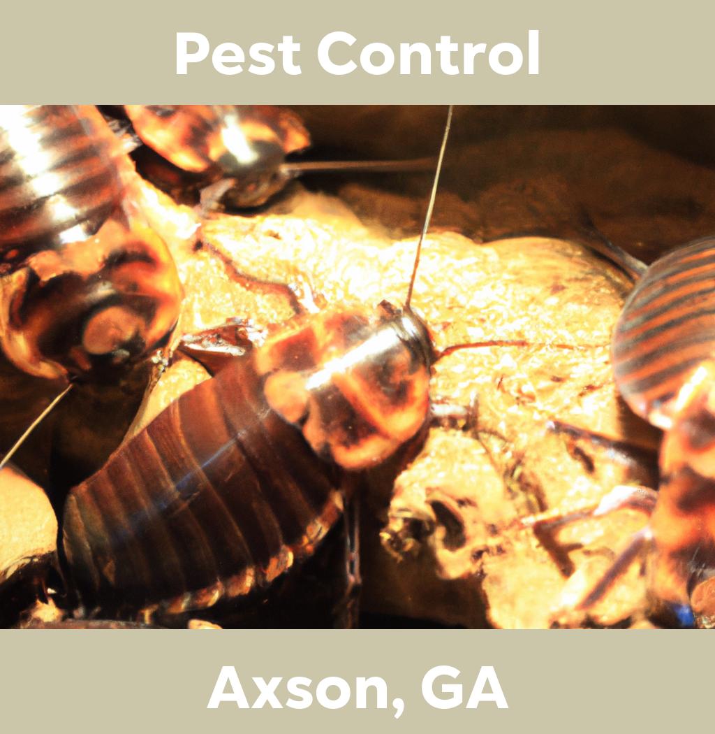 pest control in Axson Georgia