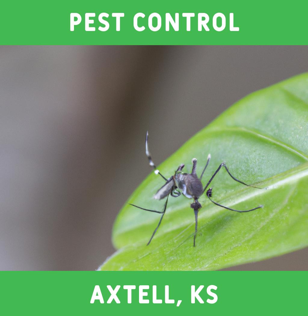 pest control in Axtell Kansas