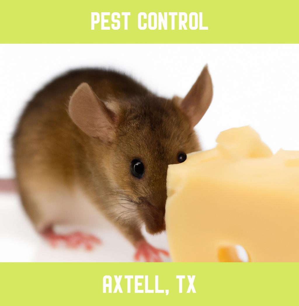 pest control in Axtell Texas
