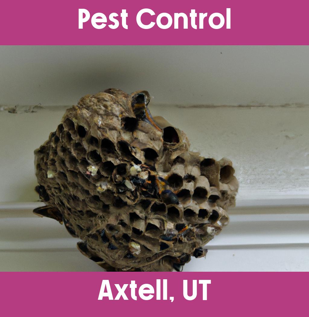 pest control in Axtell Utah