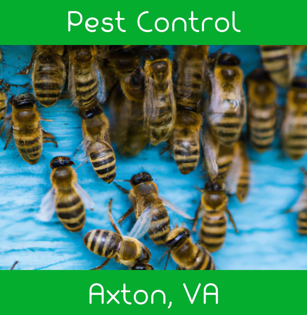 pest control in Axton Virginia