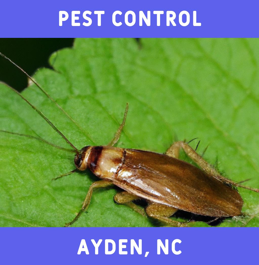 pest control in Ayden North Carolina