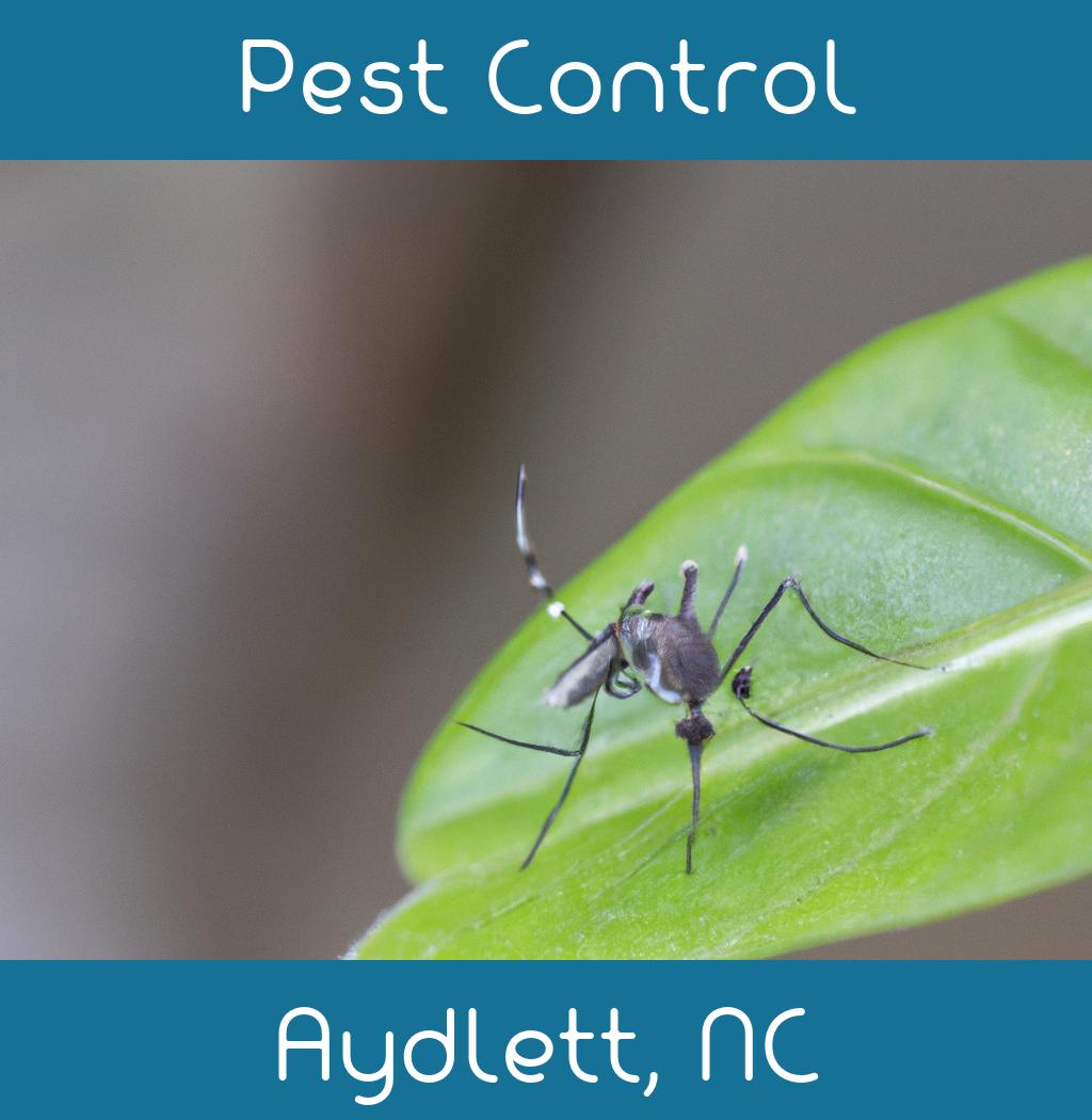 pest control in Aydlett North Carolina