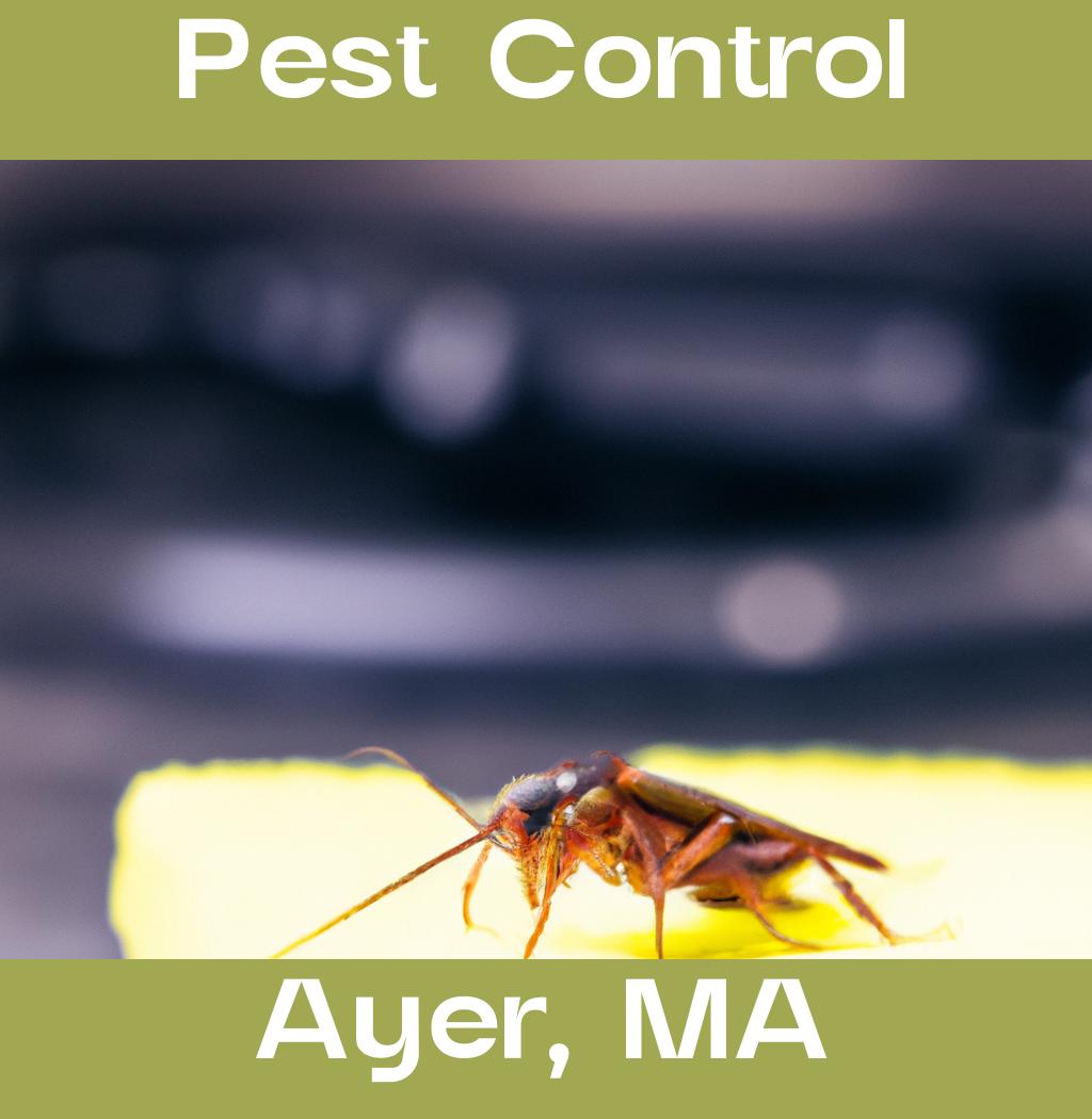 pest control in Ayer Massachusetts