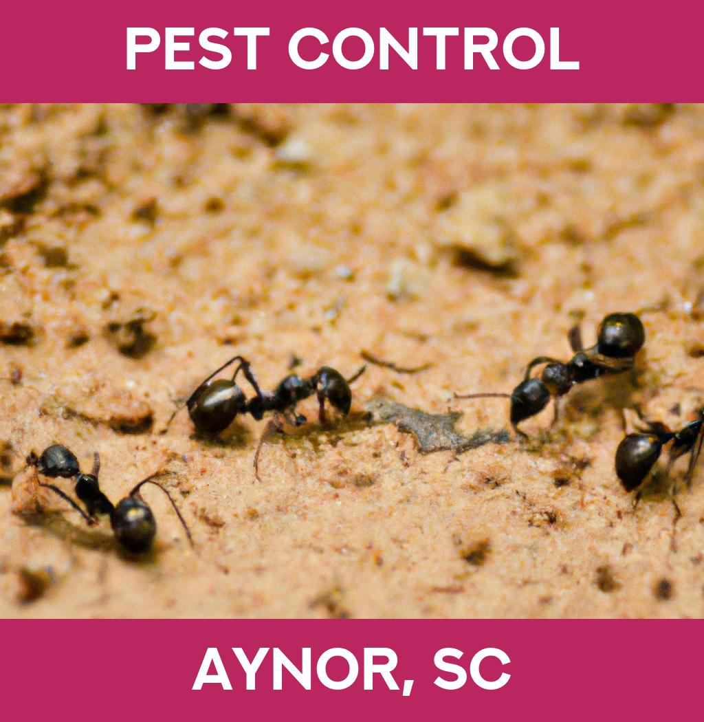 pest control in Aynor South Carolina