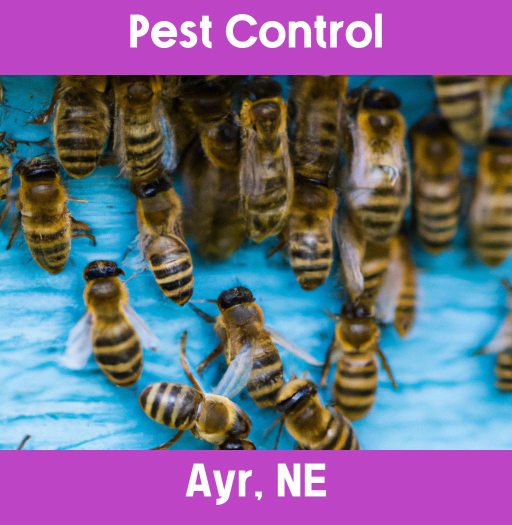 pest control in Ayr Nebraska