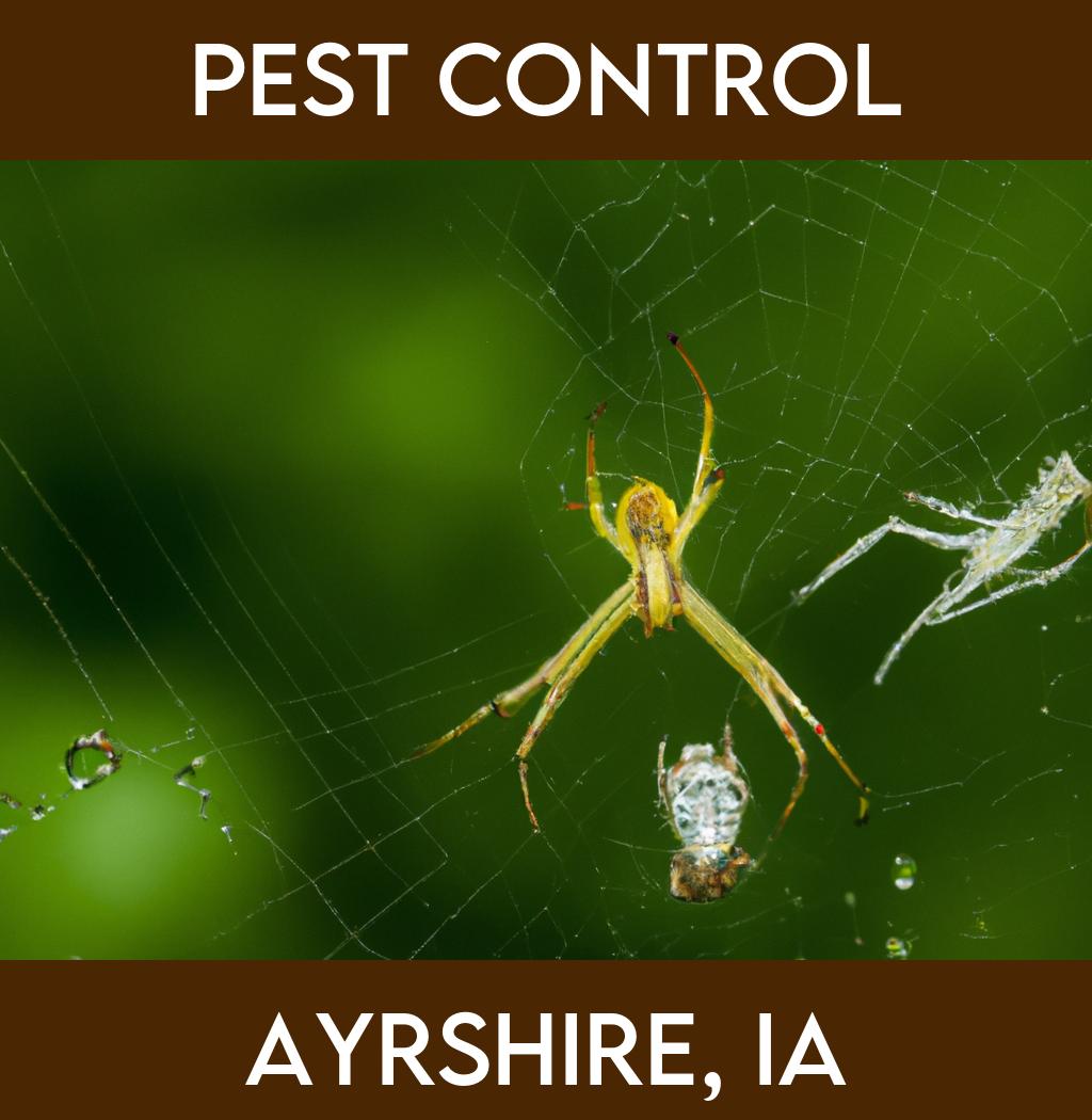 pest control in Ayrshire Iowa
