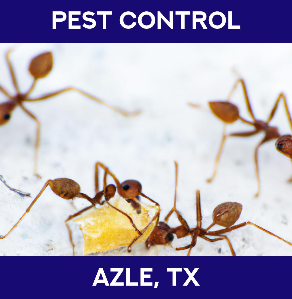 pest control in Azle Texas