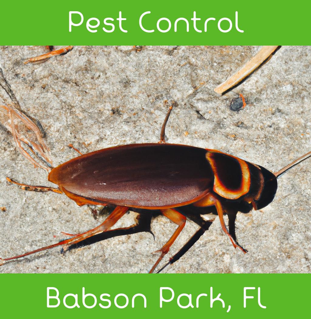 pest control in Babson Park Florida