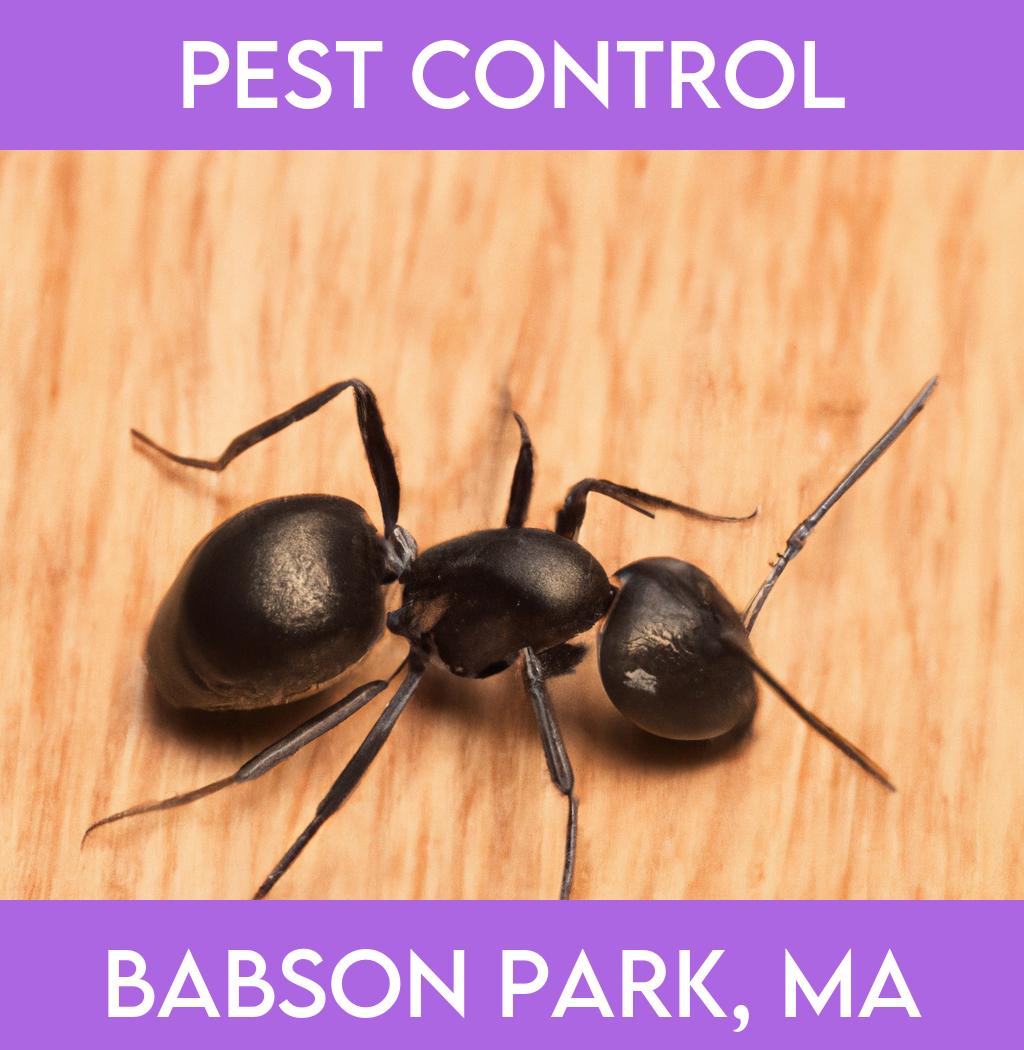 pest control in Babson Park Massachusetts