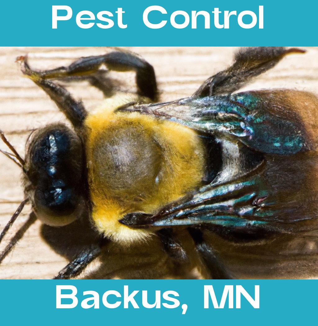 pest control in Backus Minnesota