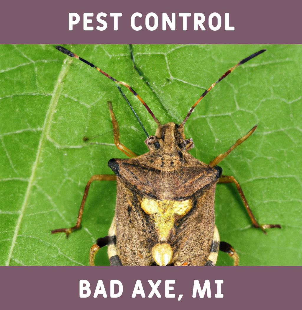 pest control in Bad Axe Michigan