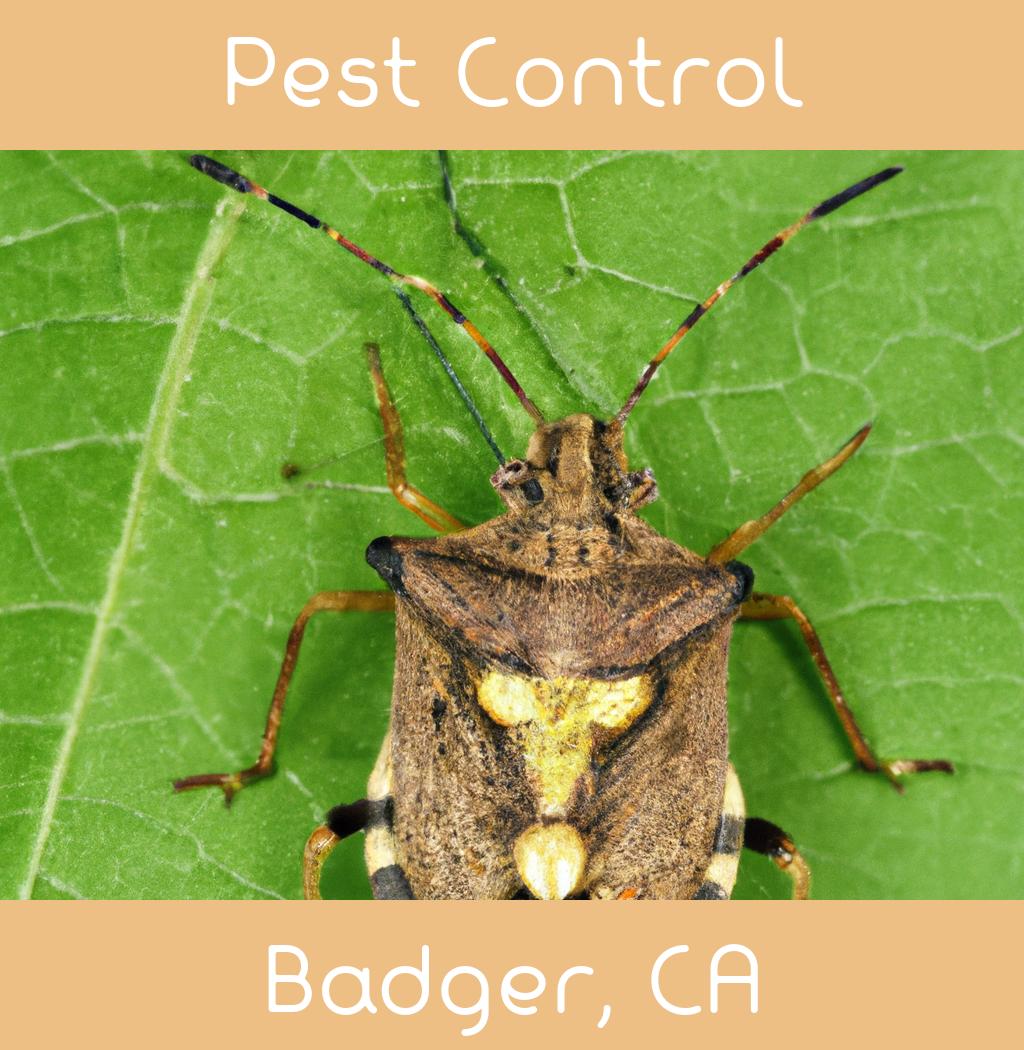 pest control in Badger California