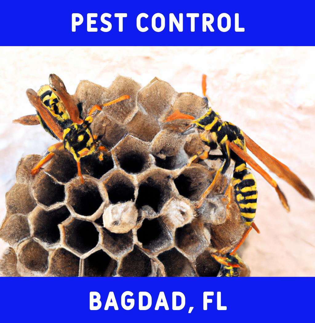 pest control in Bagdad Florida