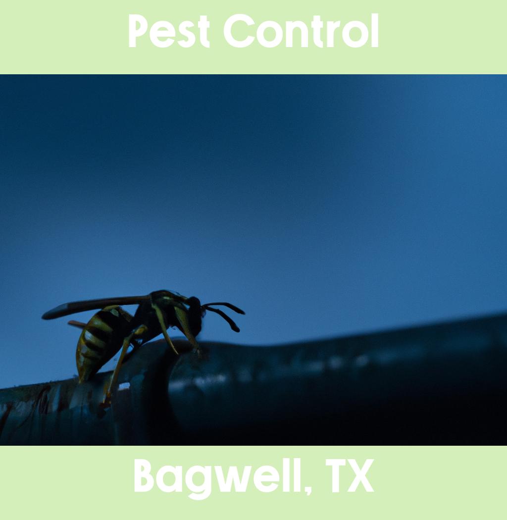 pest control in Bagwell Texas