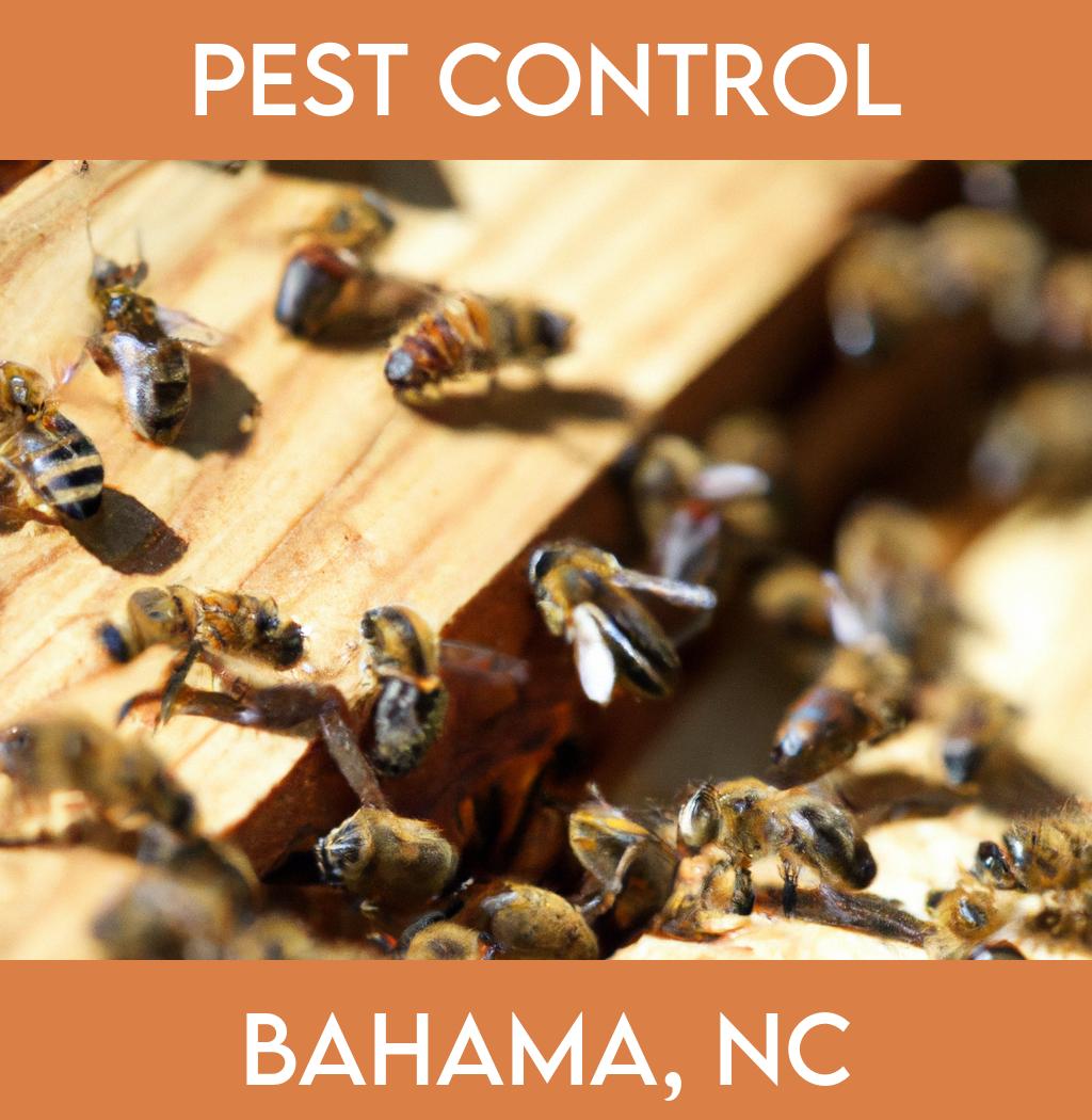 pest control in Bahama North Carolina