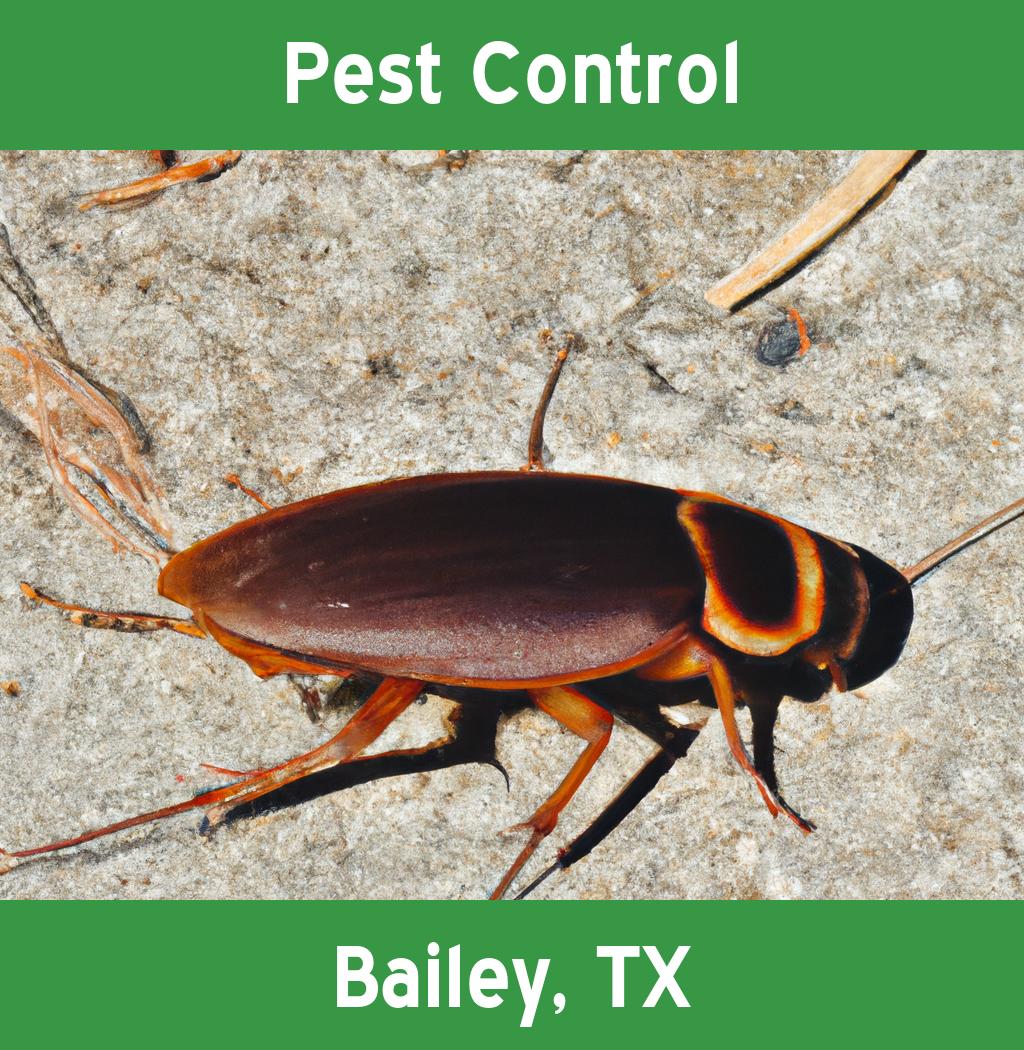 pest control in Bailey Texas