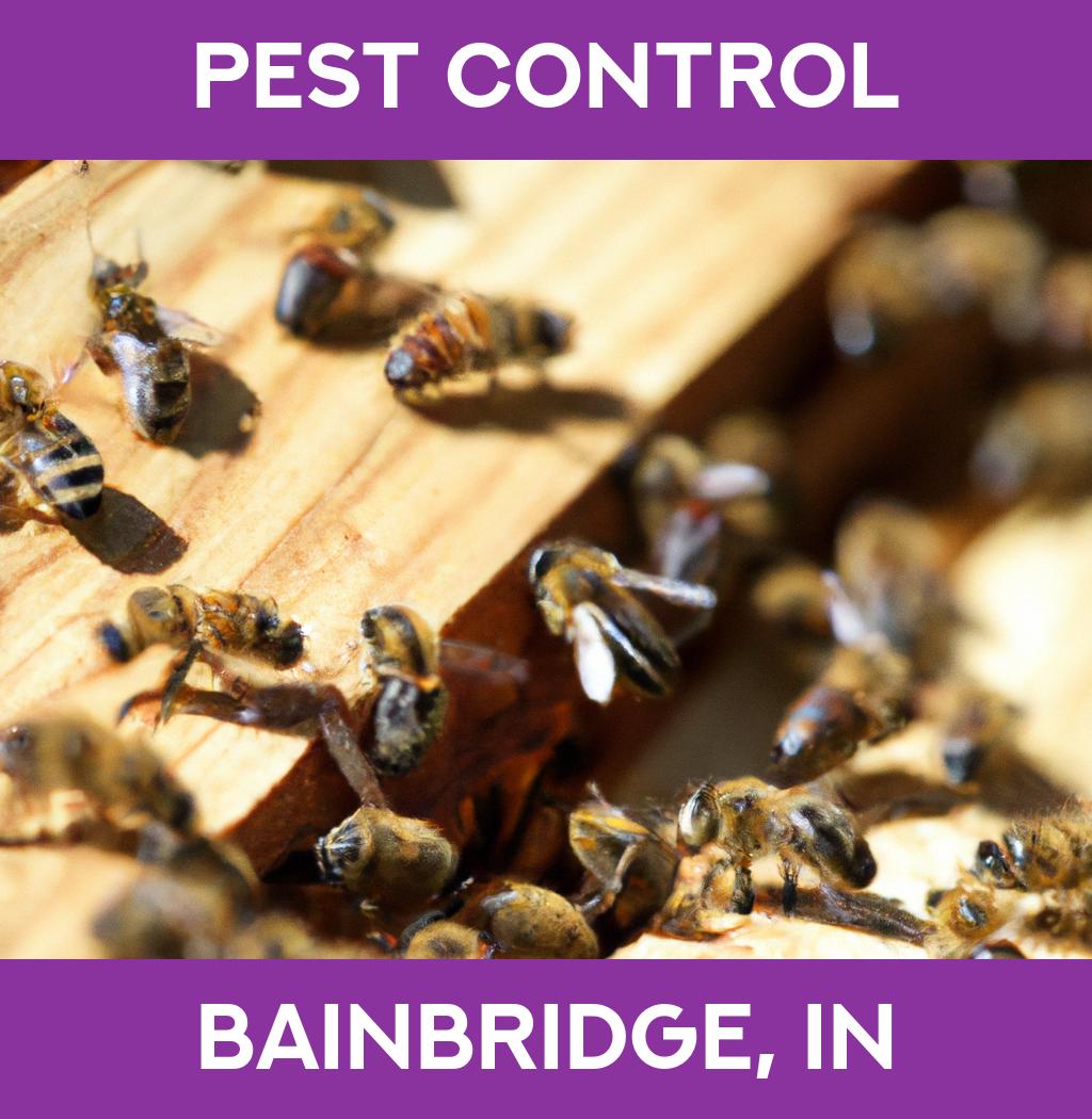 pest control in Bainbridge Indiana