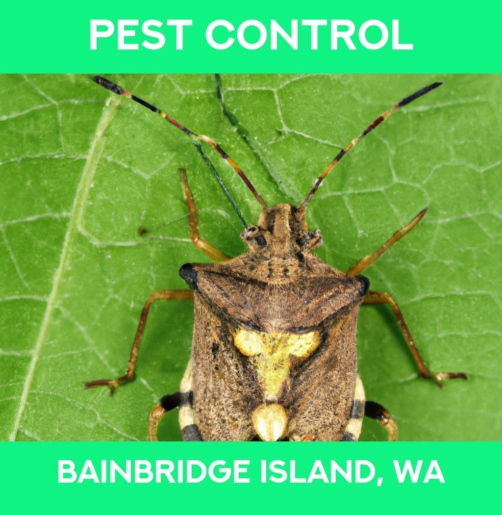pest control in Bainbridge Island Washington
