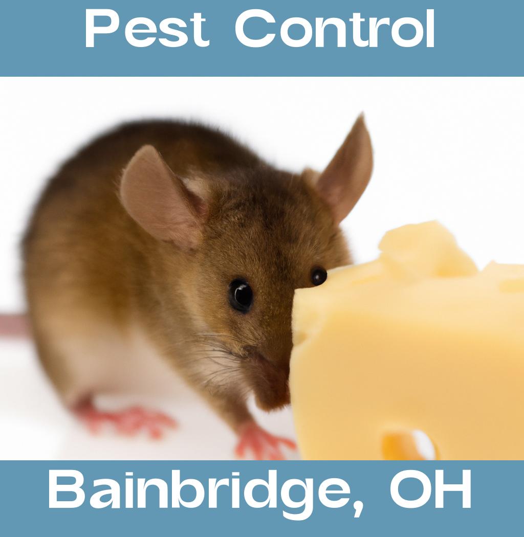 pest control in Bainbridge Ohio