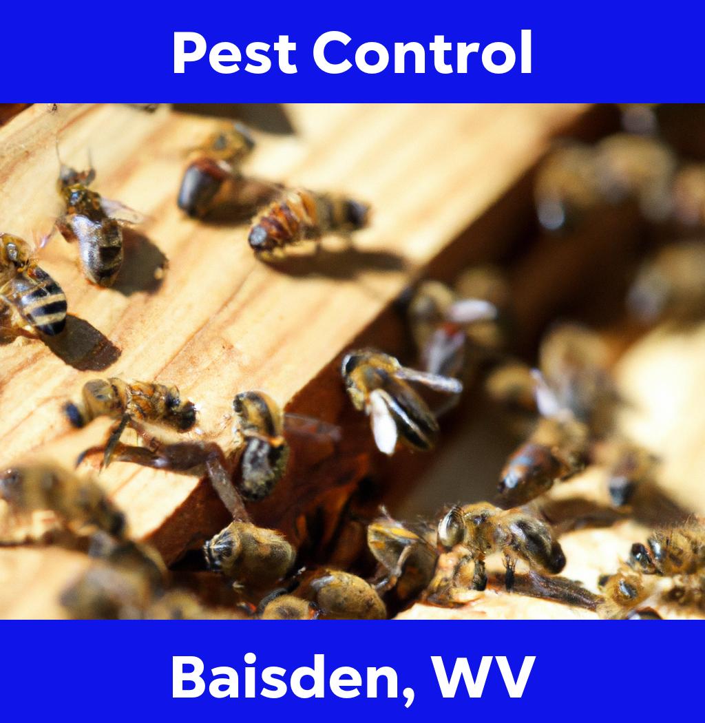 pest control in Baisden West Virginia