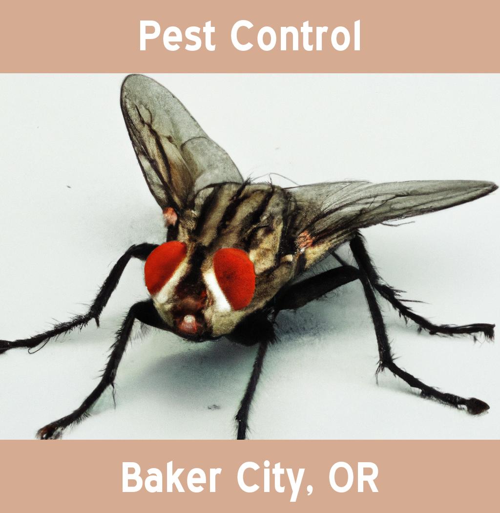 pest control in Baker City Oregon