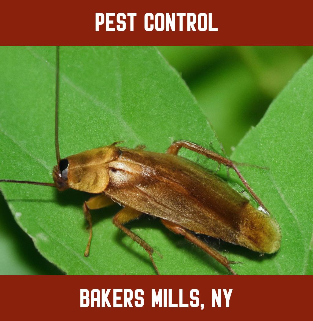 pest control in Bakers Mills New York