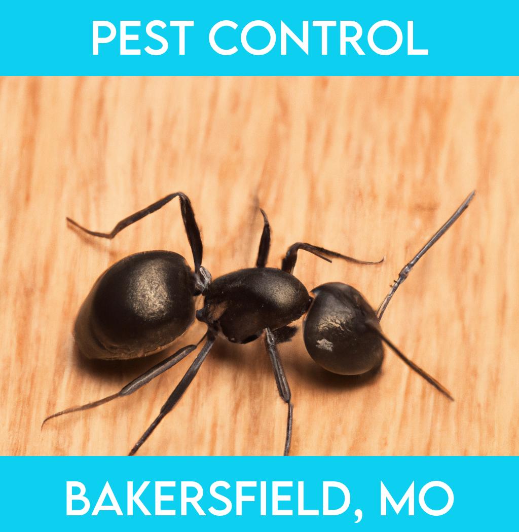 pest control in Bakersfield Missouri