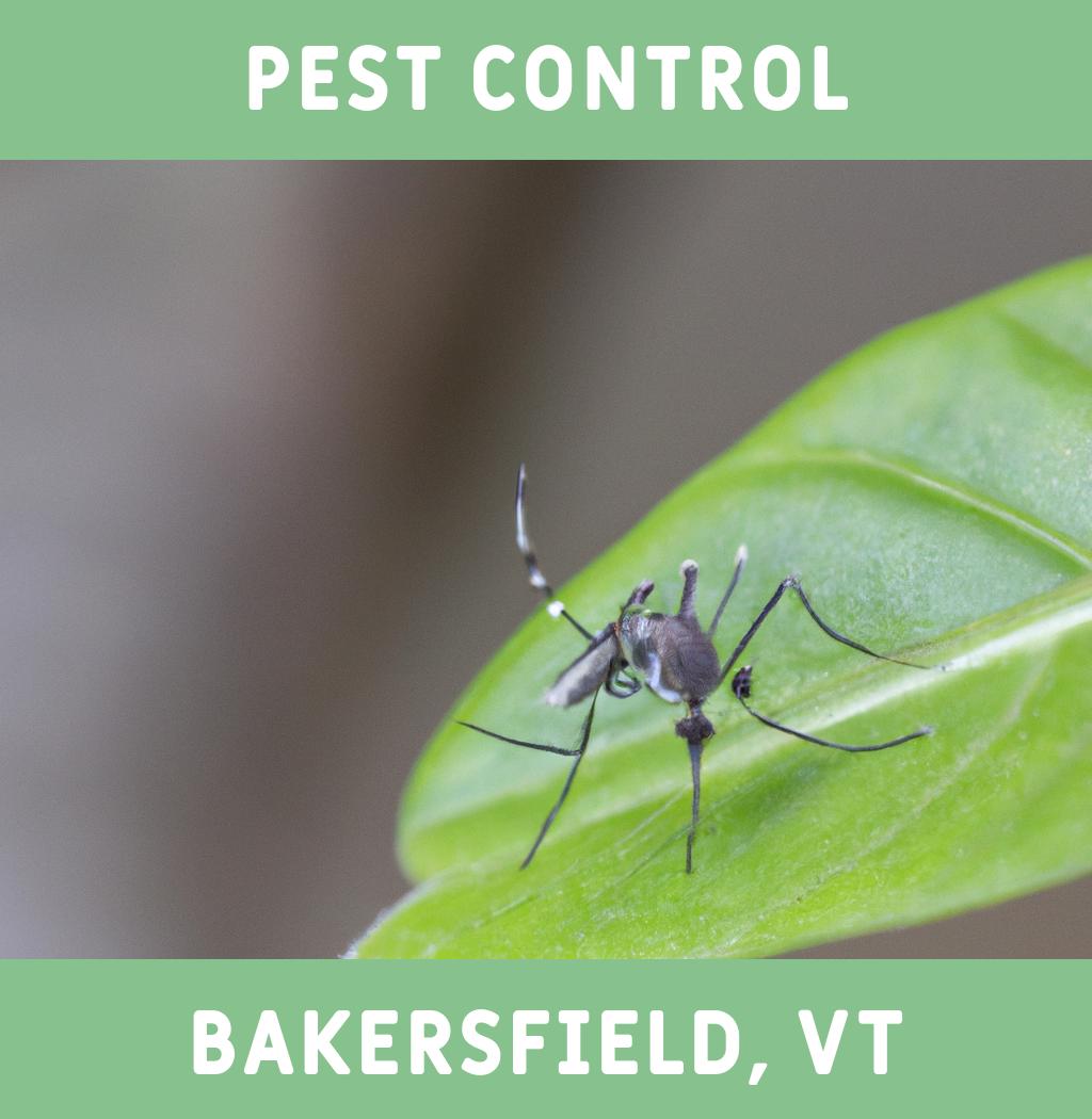pest control in Bakersfield Vermont