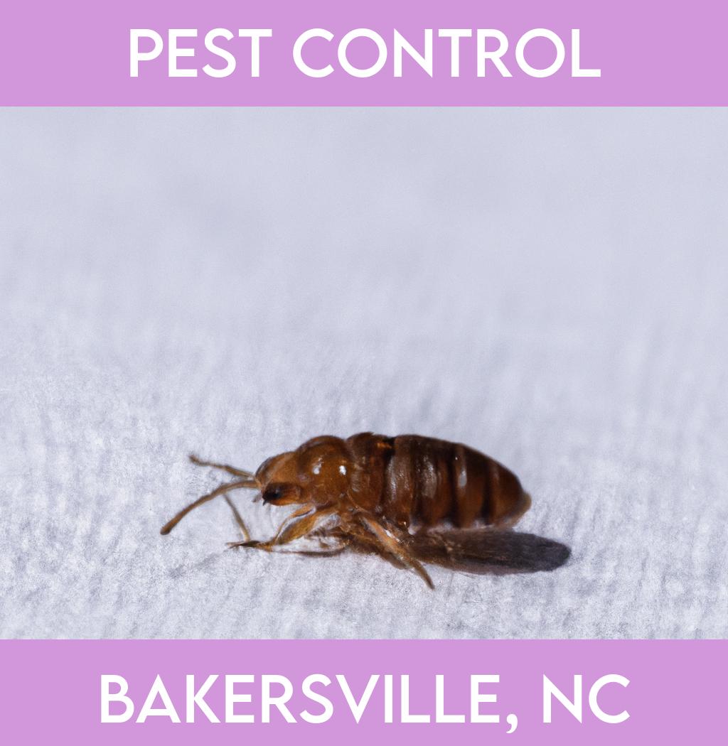 pest control in Bakersville North Carolina