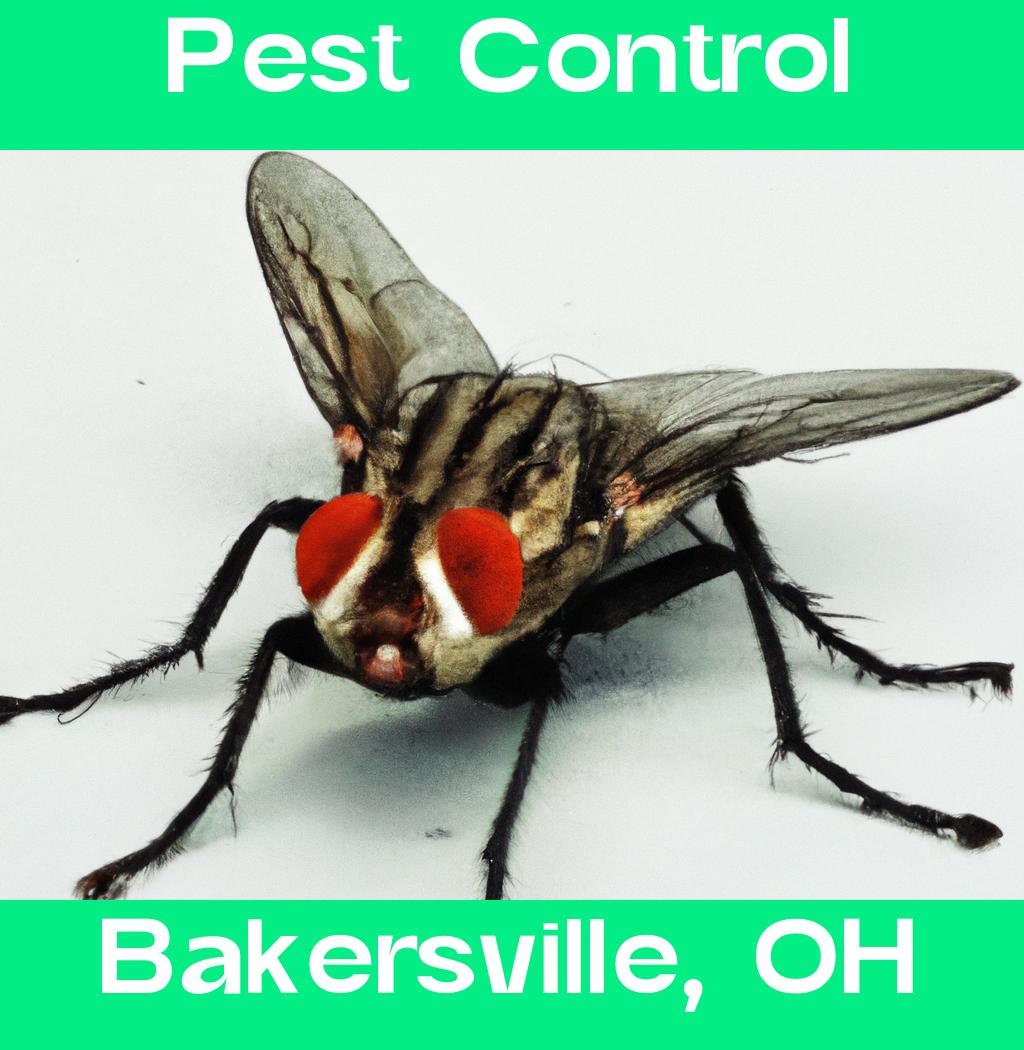 pest control in Bakersville Ohio