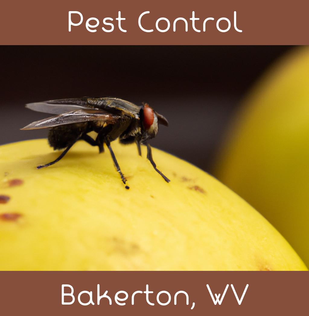 pest control in Bakerton West Virginia