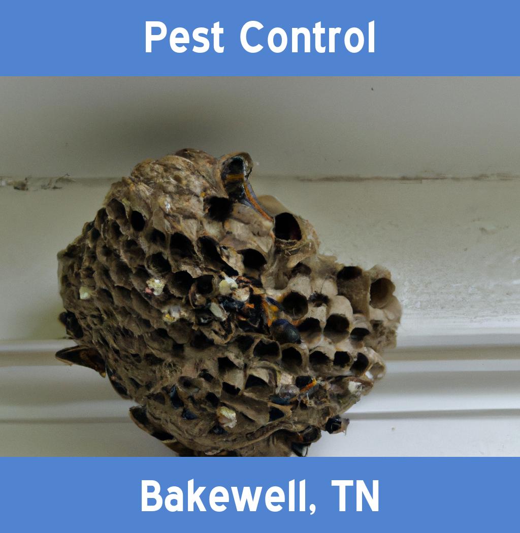 pest control in Bakewell Tennessee