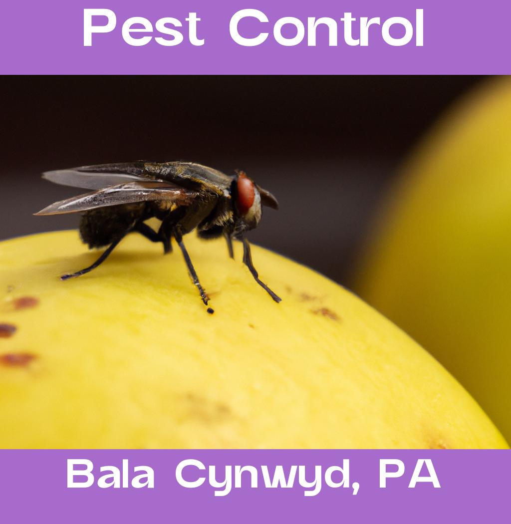pest control in Bala Cynwyd Pennsylvania