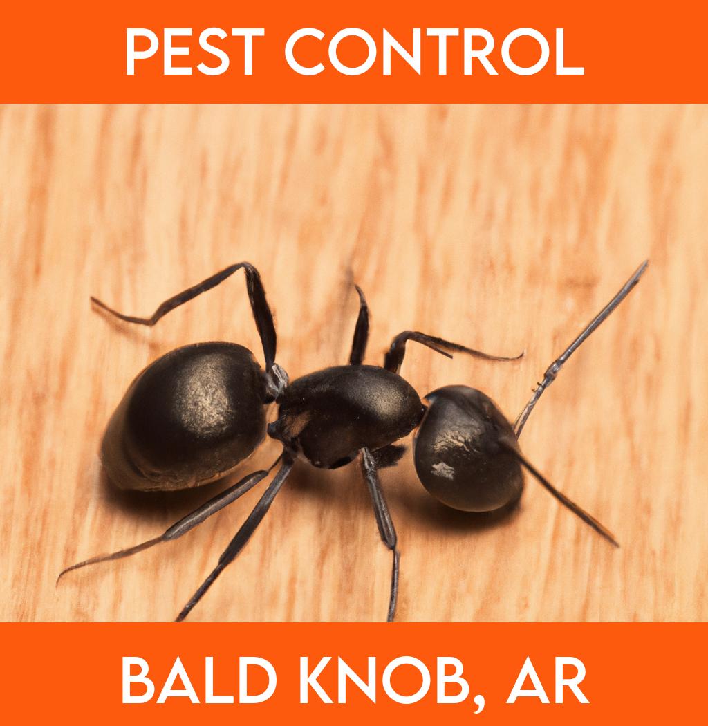 pest control in Bald Knob Arkansas
