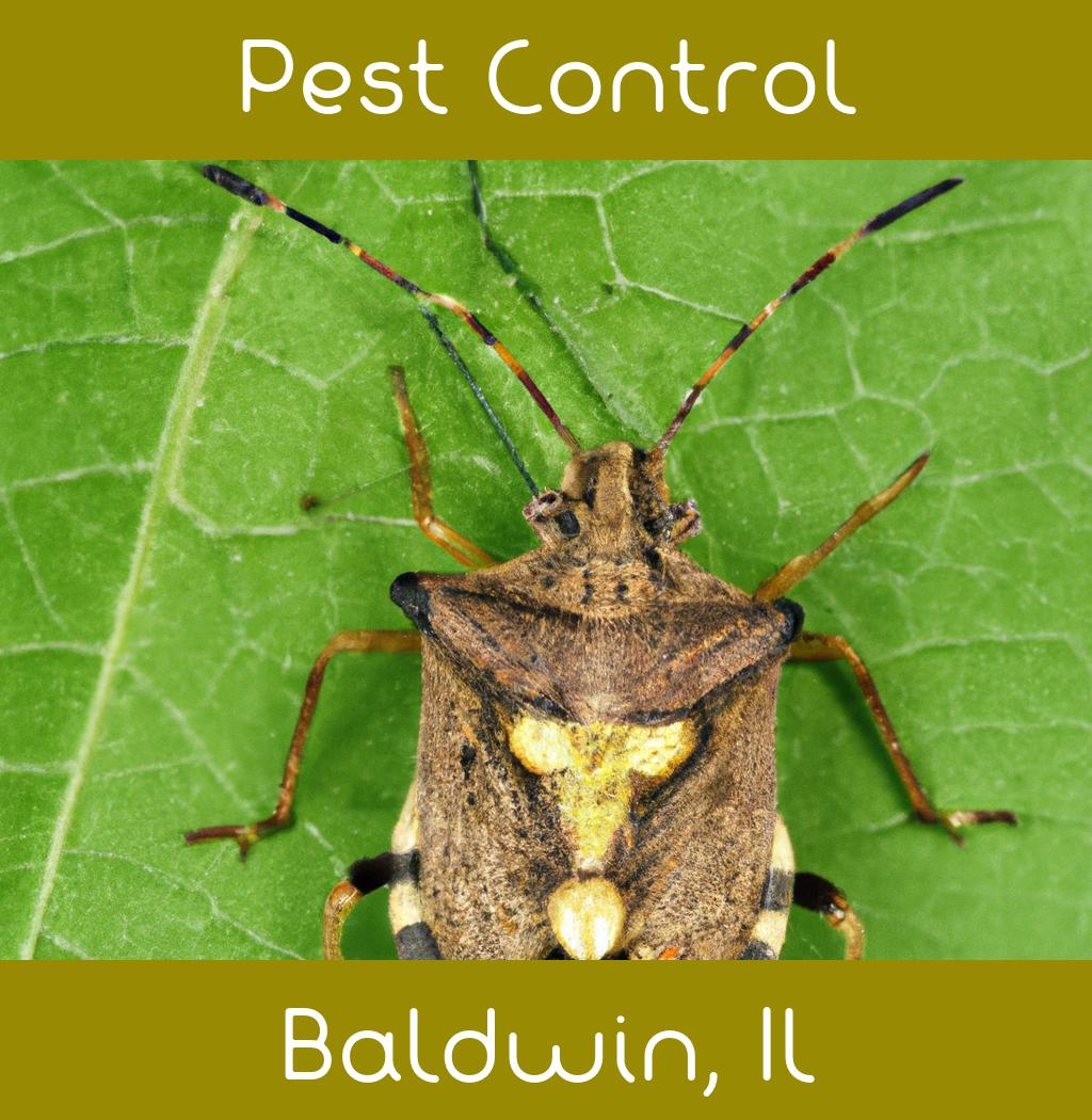 pest control in Baldwin Illinois