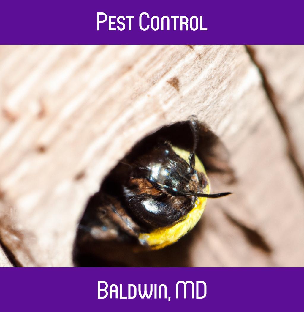 pest control in Baldwin Maryland