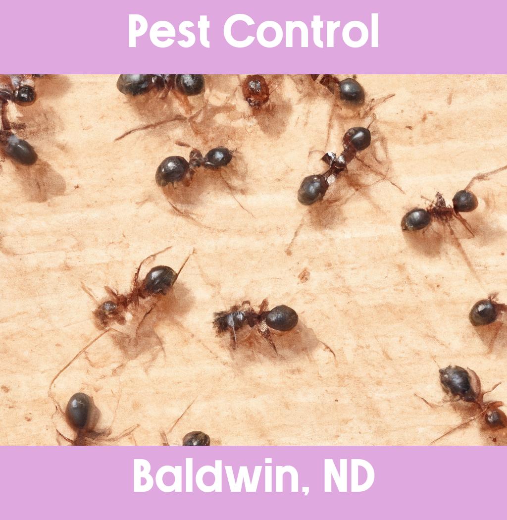pest control in Baldwin North Dakota