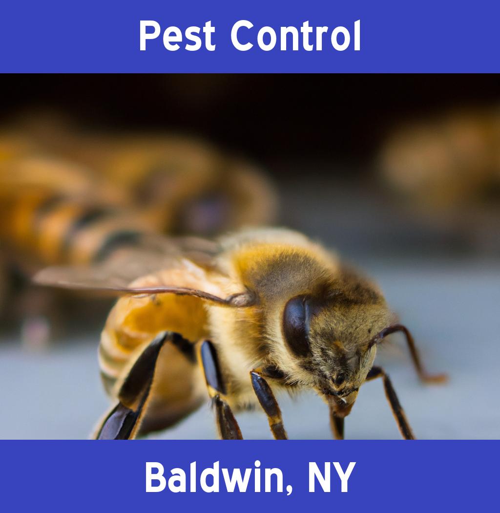 pest control in Baldwin New York