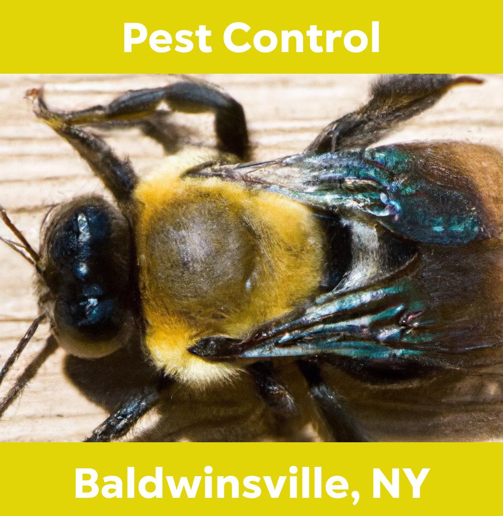 pest control in Baldwinsville New York
