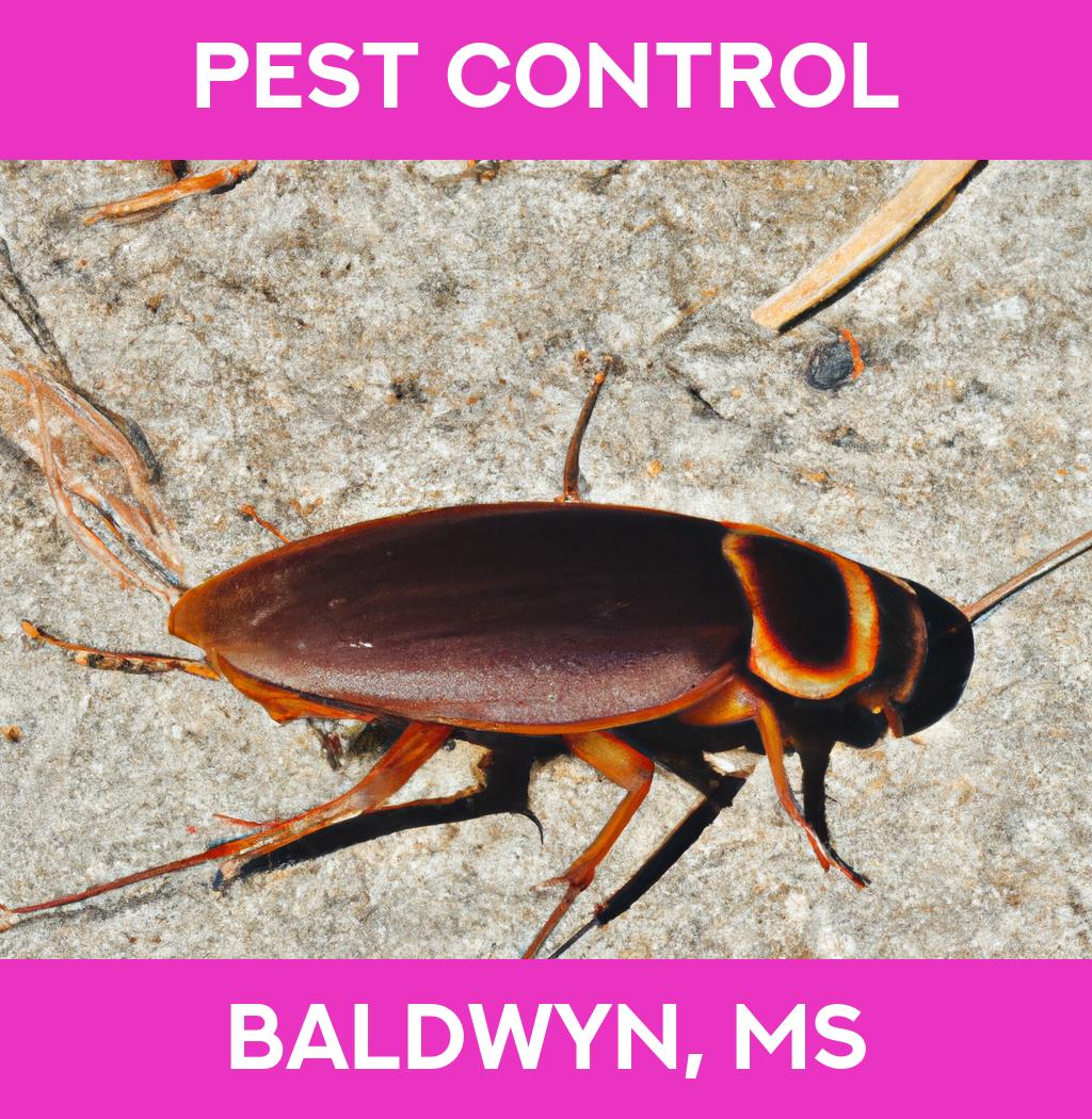 pest control in Baldwyn Mississippi
