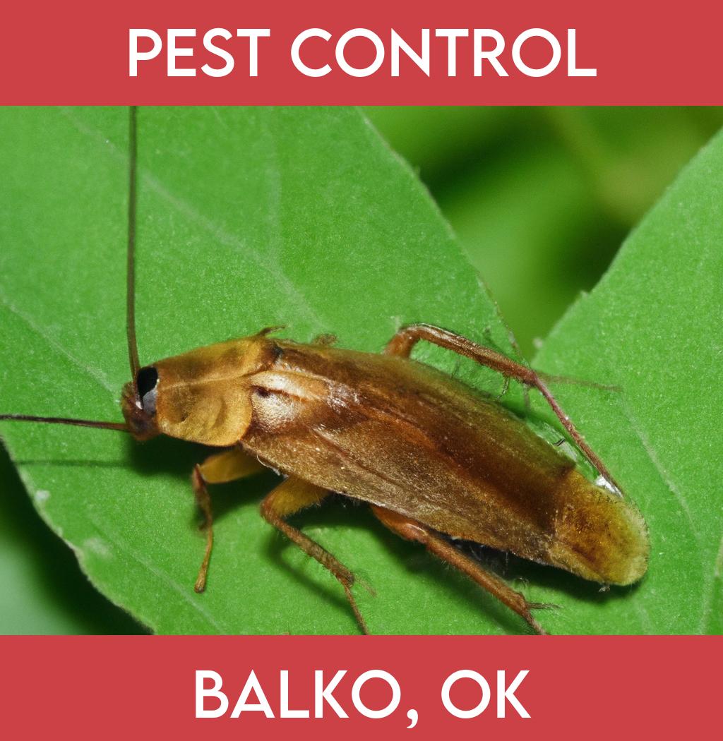 pest control in Balko Oklahoma