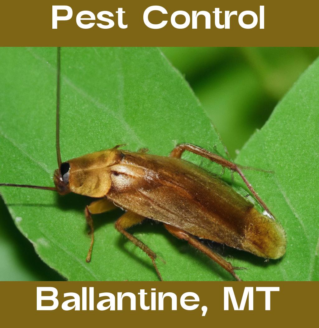 pest control in Ballantine Montana