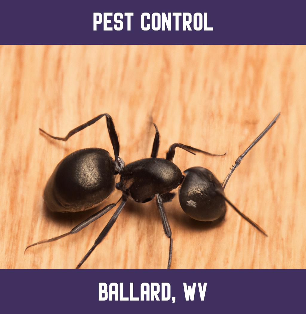 pest control in Ballard West Virginia