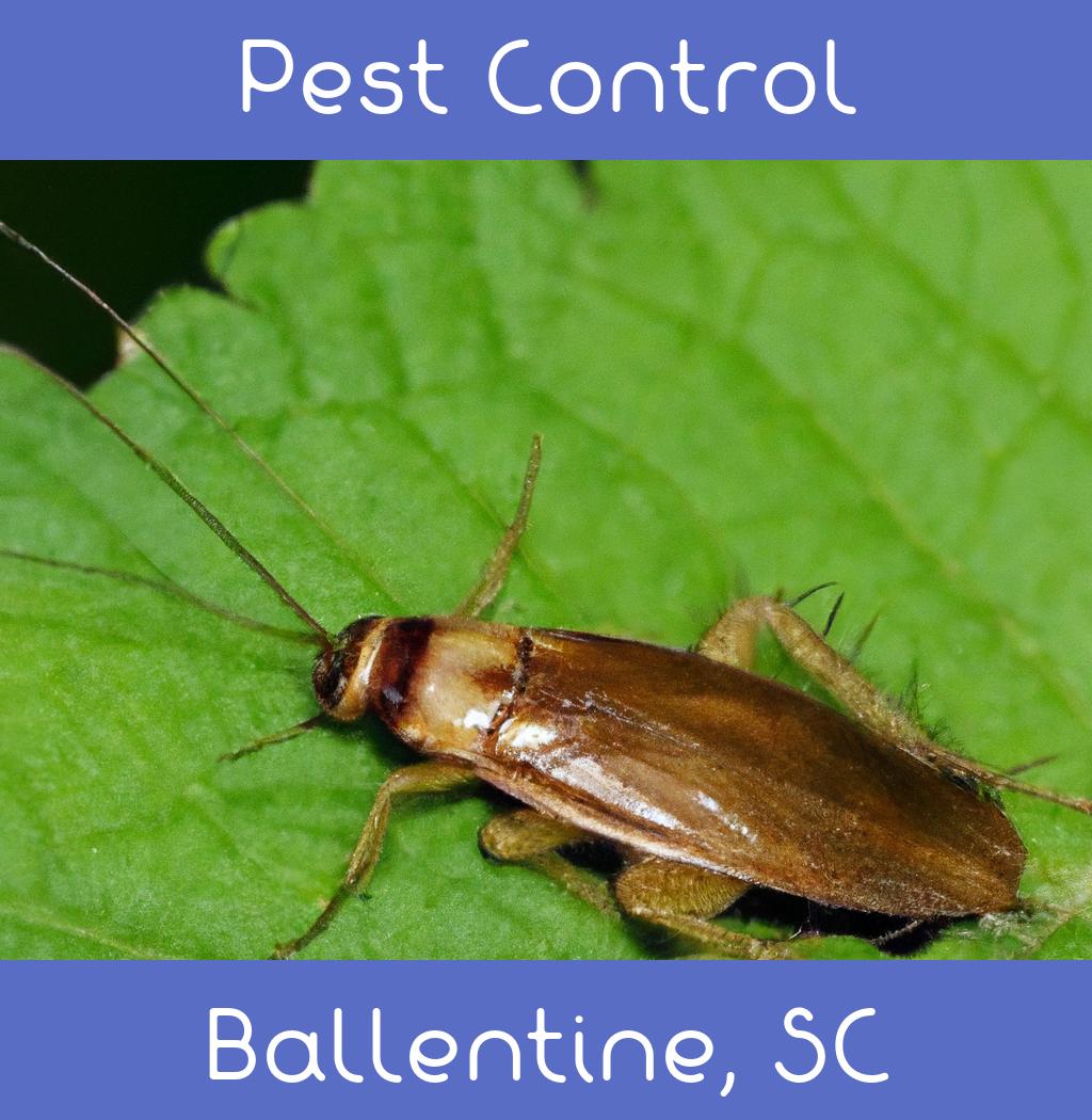 pest control in Ballentine South Carolina