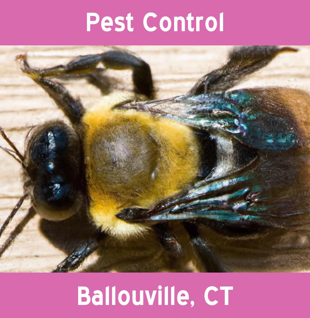 pest control in Ballouville Connecticut