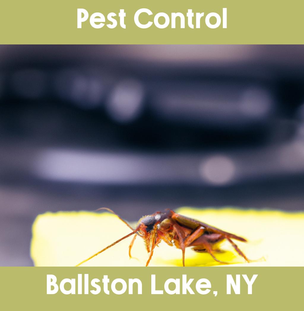 pest control in Ballston Lake New York