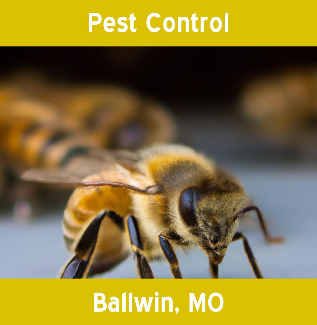 pest control in Ballwin Missouri