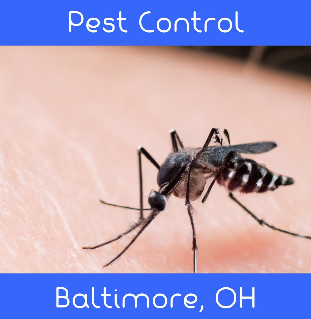 pest control in Baltimore Ohio