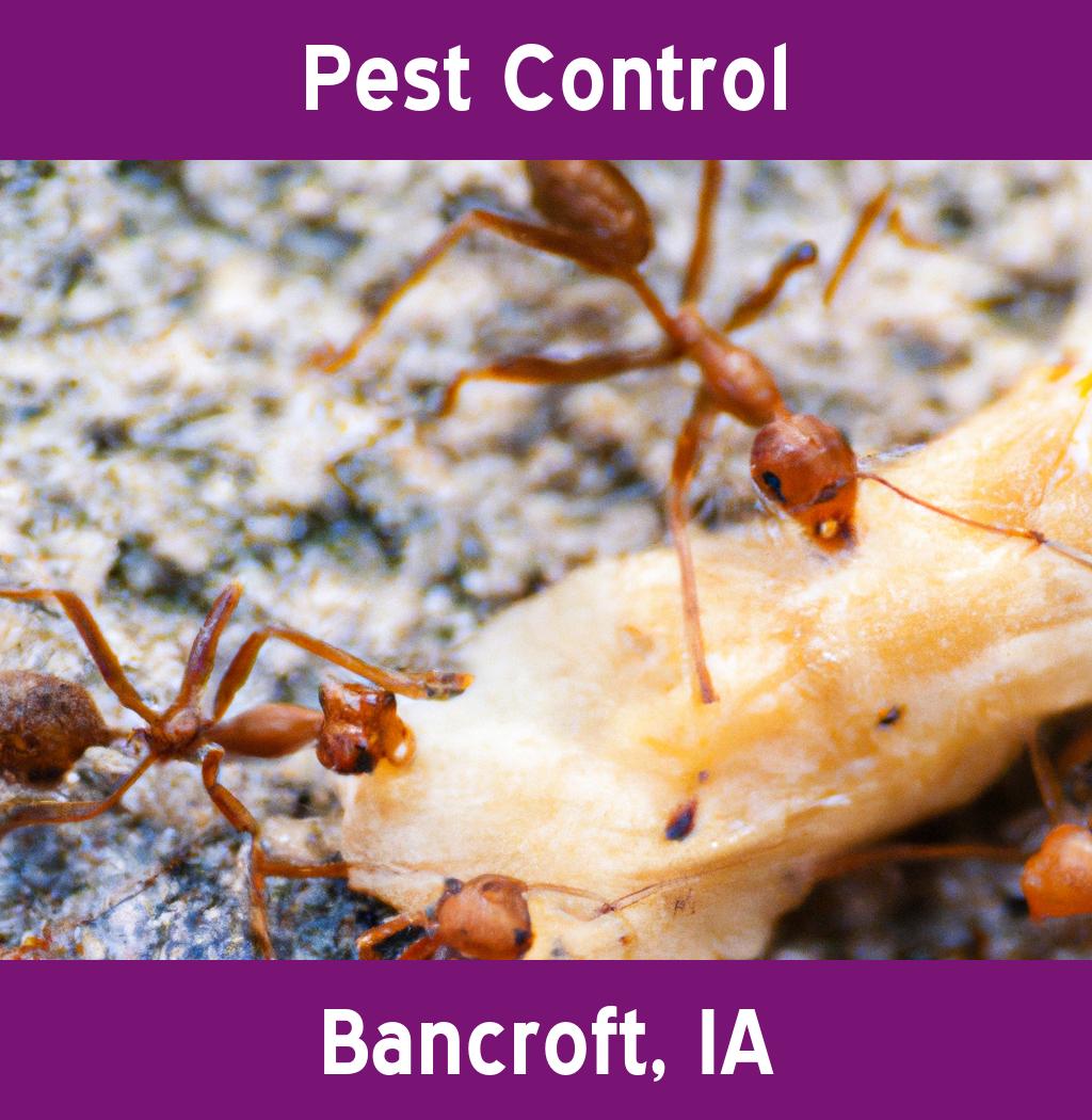 pest control in Bancroft Iowa
